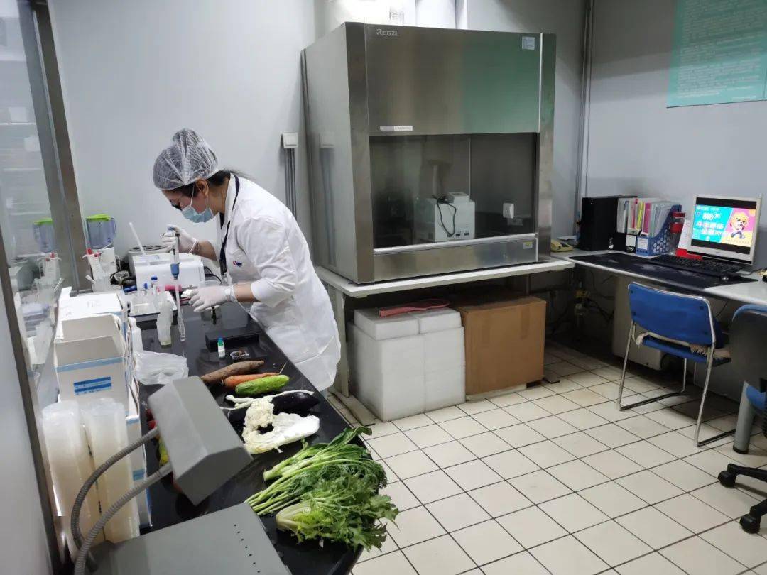 板桥镇食品检测实验室装修方案